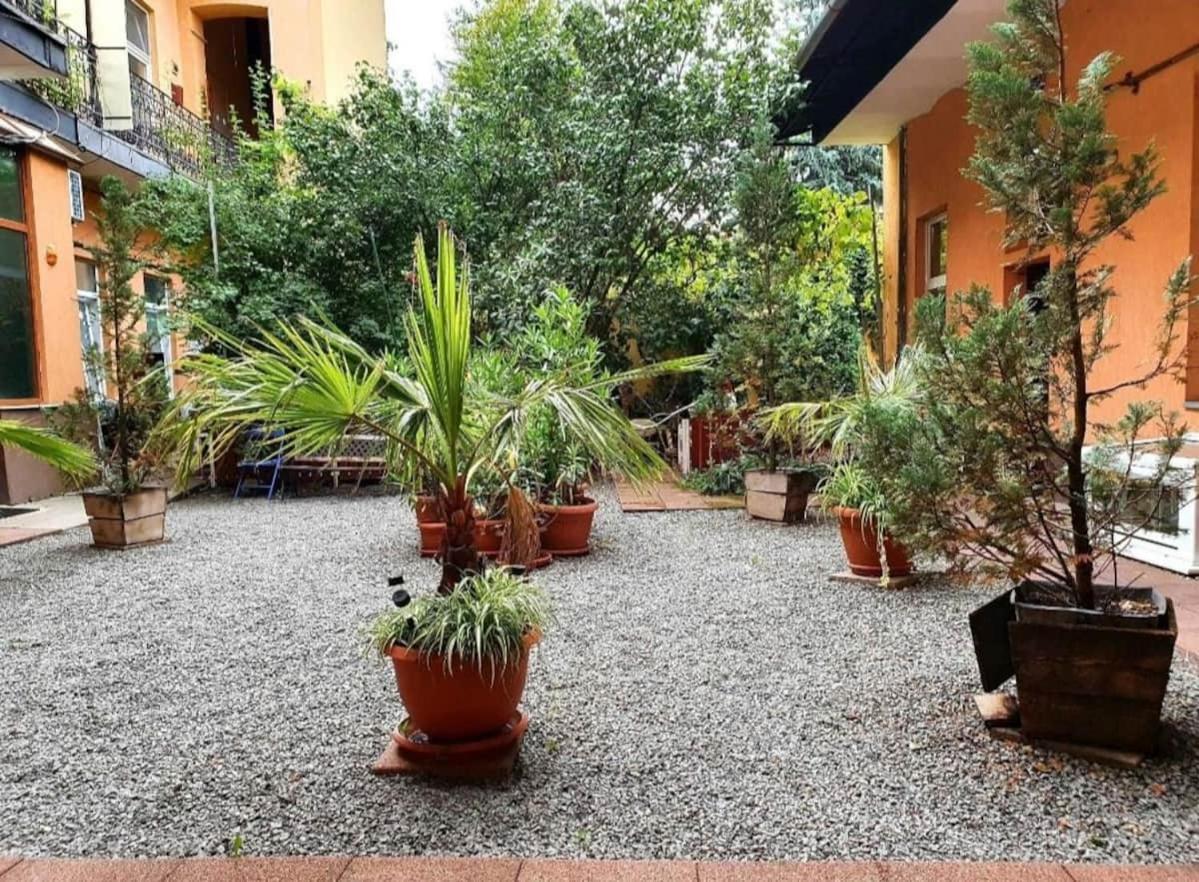 Ultracentral Cluj Napoca,Balcony,Fast Wifi,Parking المظهر الخارجي الصورة