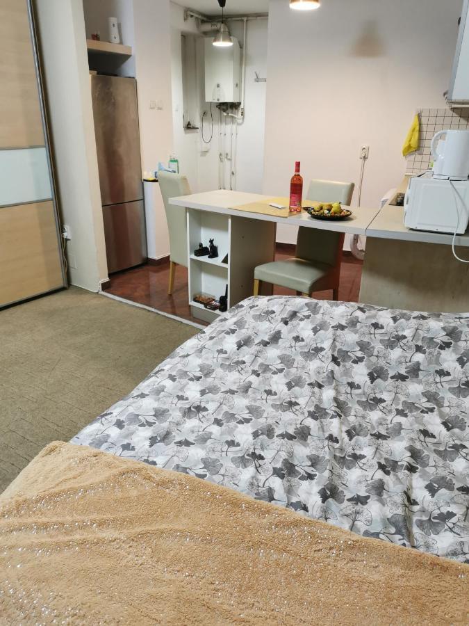 Ultracentral Cluj Napoca,Balcony,Fast Wifi,Parking المظهر الخارجي الصورة
